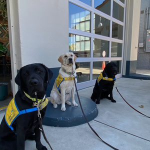 Team_Greater Santa Barbara Volunteer Chapter